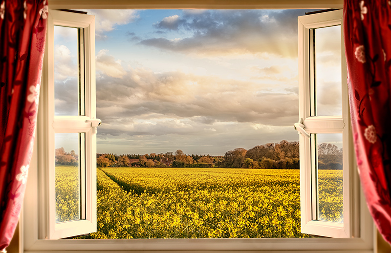 Casement windows open to a prairie of wildflowers